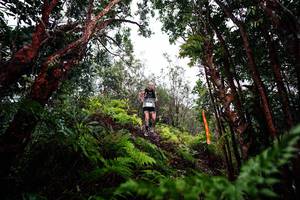 BIB: 
                            <button type="button" onclick="openModal(26201000)" class="btn btn-primary btn-sm float-right btn-popup" data-toggle="modal" data-target=".modal-high-quality">
                        <i class="fas fa-shopping-cart"></i> Add to Cart
                    </button>
                                            <button type="button" onclick="isThisMe(26201000, true)" class="btn btn-success btn-sm float-right btn-popup btn-isme hidden" data-toggle="tooltip" data-placement="bottom" title="นี่คือรูปของคุณใช่ไหม คลิกที่นี่เพื่อเอาเข้าอัลบั้ม">
                        <i class="fas fa-plus"></i> Add to album
                    </button>
                    <button type="button" onclick="isThisMe(26201000, false)" class="btn btn-warning btn-sm float-right btn-popup btn-isnotme hidden">
                        <i class="fas fa-ban"></i> Remove from album
                    </button>